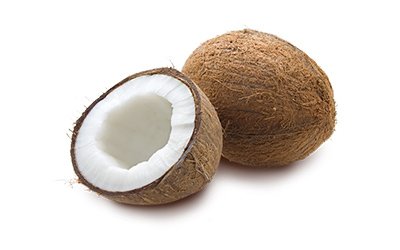 Cocco